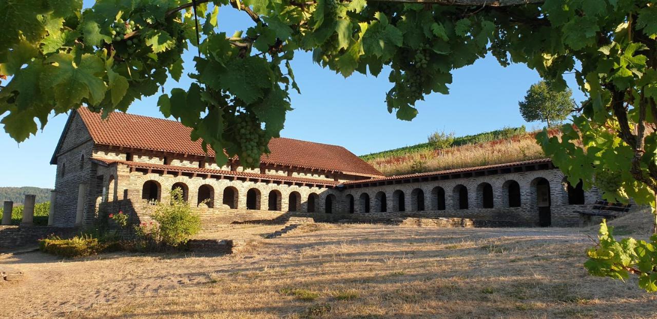 Art Of Living Mosel Leilighet Longuich Eksteriør bilde